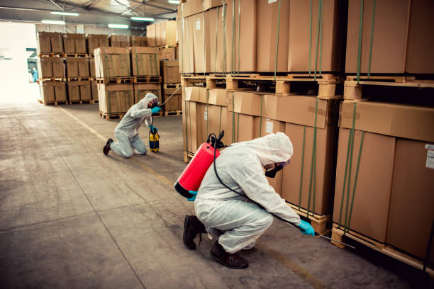 Best Pest Inspection Near Me  in Beckett, NJ