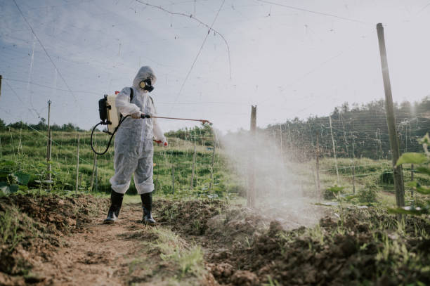 Best Commercial Pest Control Services  in Beckett, NJ