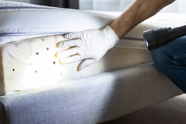 Best Pest Control for Homes  in Beckett, NJ