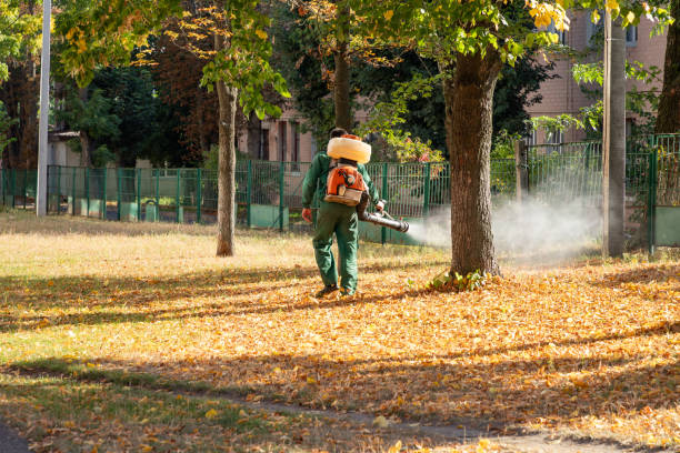 Professional Pest Control in Beckett, NJ