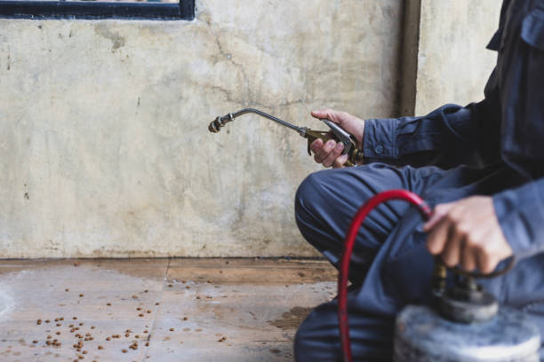Best Affordable Exterminators  in Beckett, NJ